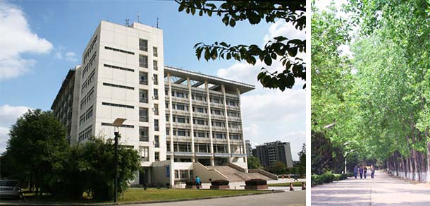 東南大學成賢學院 - 最美院校
