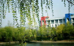 鹽城幼兒師范高等?？茖W(xué)校 - 我的大學(xué)