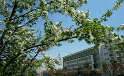 江蘇信息職業(yè)技術(shù)學院 - 我的大學