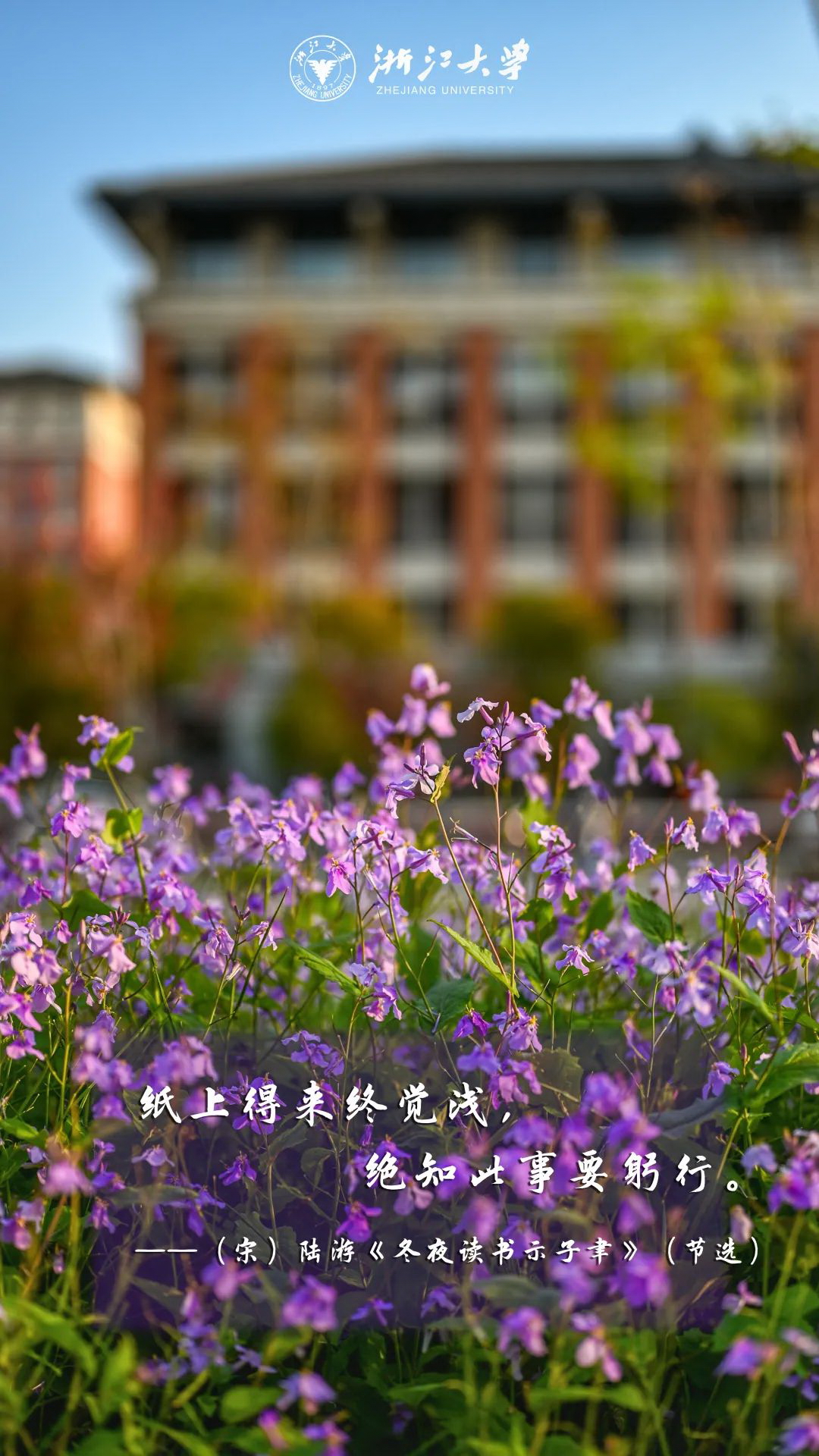 浙江大學(xué) 早安青春