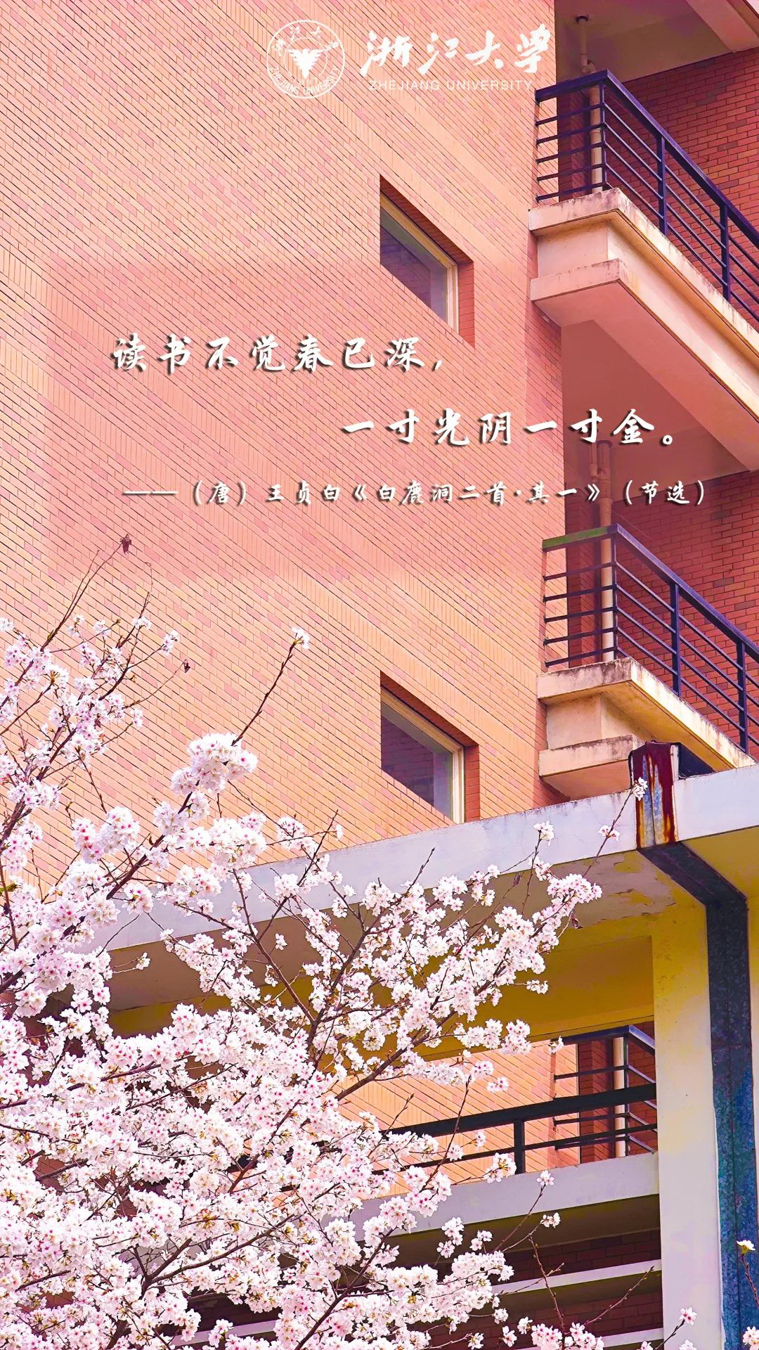 浙江大學(xué) 早安青春
