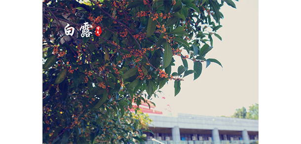 義烏工商職業(yè)技術(shù)學院 - 最美大學