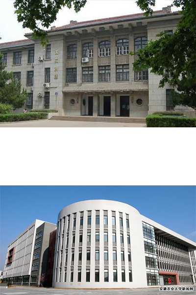 安徽農(nóng)業(yè)大學(xué) - 流金歲月
