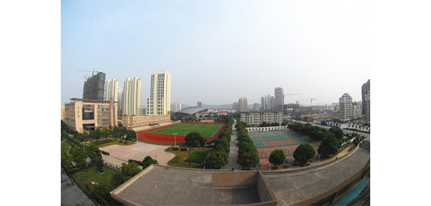 我的大學(xué)-大學(xué)志