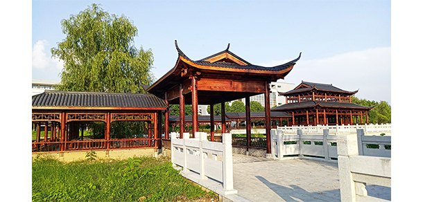 安慶職業(yè)技術(shù)學院 - 最美大學