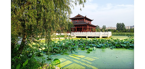 安慶職業(yè)技術(shù)學院 - 最美大學