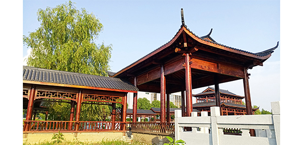 安慶職業(yè)技術(shù)學院 - 最美大學