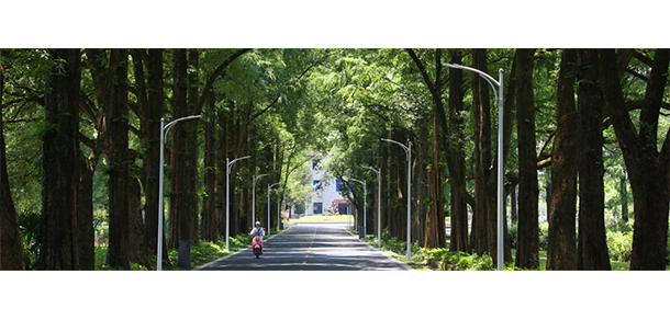 黃山職業(yè)技術學院- 最美大學