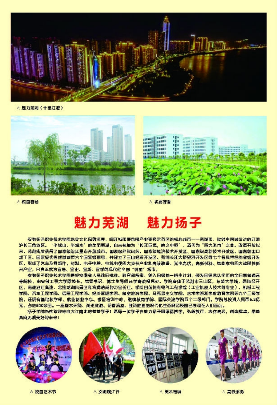 安徽揚(yáng)子職業(yè)技術(shù)學(xué)院－2020年分類考試招生簡(jiǎn)章
