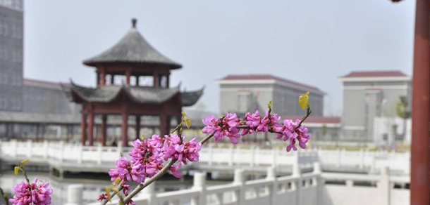 安徽黃梅戲藝術(shù)職業(yè)學(xué)院 - 最美大學(xué)