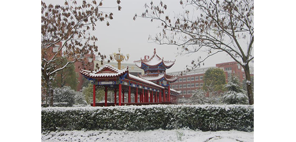 皖北衛(wèi)生職業(yè)學院 - 最美大學