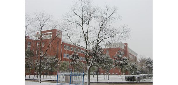 皖北衛(wèi)生職業(yè)學院 - 最美大學