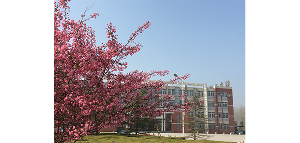 皖北衛(wèi)生職業(yè)學院 - 最美大學