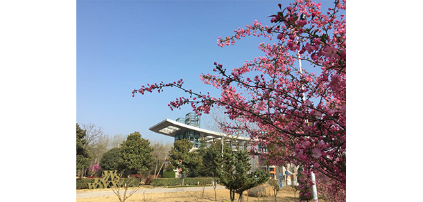 皖北衛(wèi)生職業(yè)學院 - 最美大學