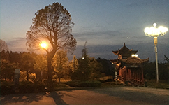 皖北衛(wèi)生職業(yè)學院 - 我的大學