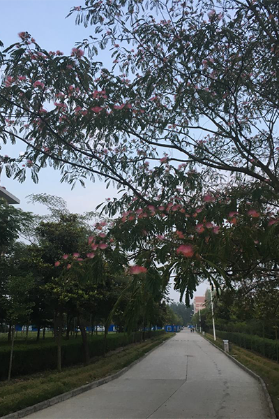 皖北衛(wèi)生職業(yè)學院
