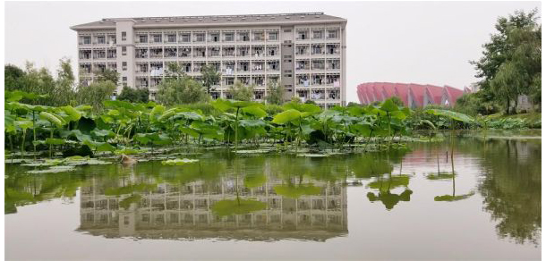 銅陵職業(yè)技術學院 - 最美大學