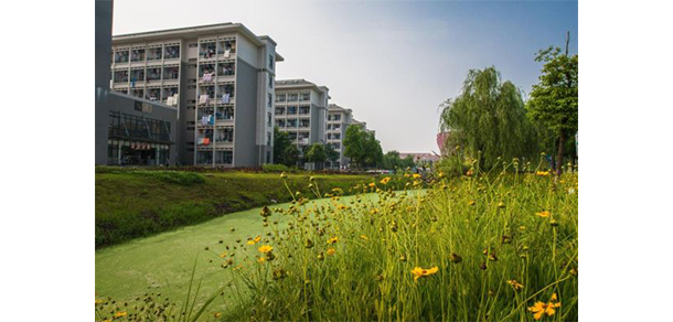 銅陵職業(yè)技術學院 - 最美大學