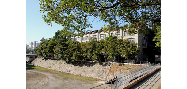 福建幼兒師范高等?？茖W(xué)校 - 最美大學(xué)
