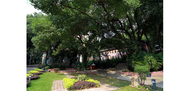福建幼兒師范高等?？茖W(xué)校 - 最美大學(xué)