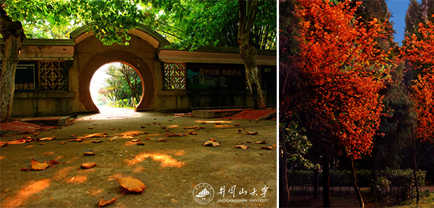 井岡山大學(xué) - 最美大學(xué)