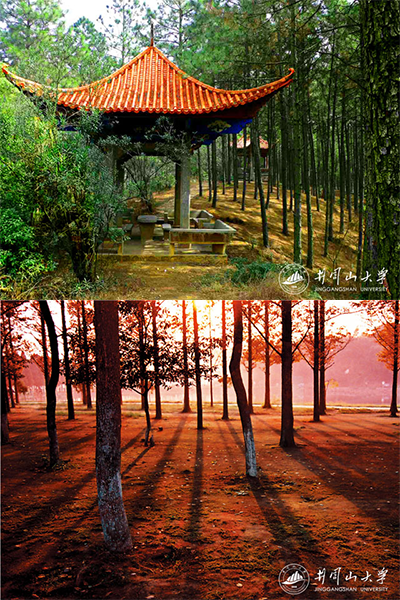 井岡山大學(xué)