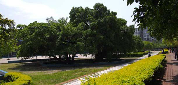 贛南師范大學科技學院