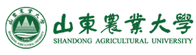2021年-2025年高考招生資訊