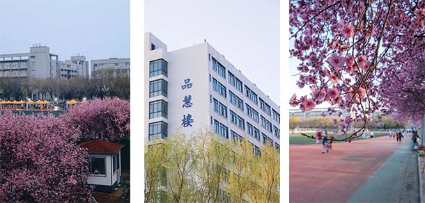 山東農(nóng)業(yè)大學 - 最美院校