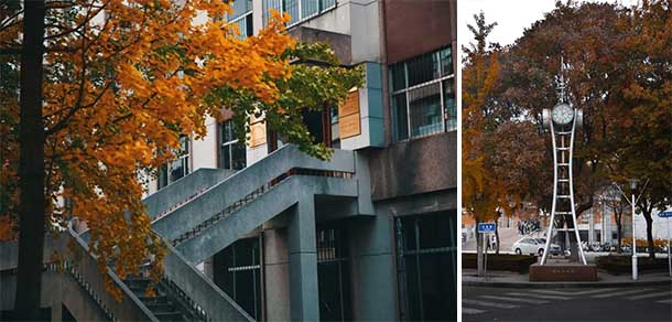 山東農(nóng)業(yè)大學 - 最美院校