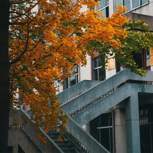 大學簡介