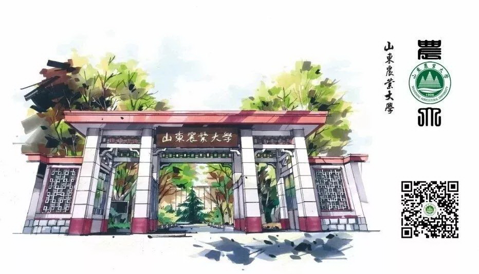 山東農(nóng)業(yè)大學 早安青春