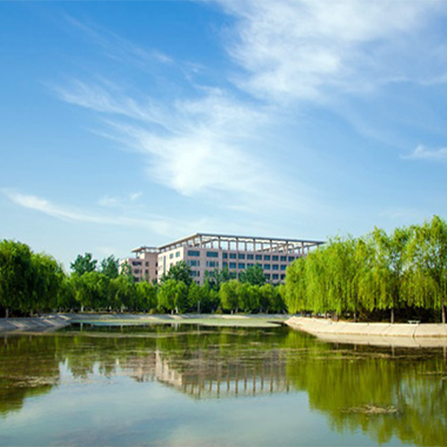 聊城大學(xué)-最美校園