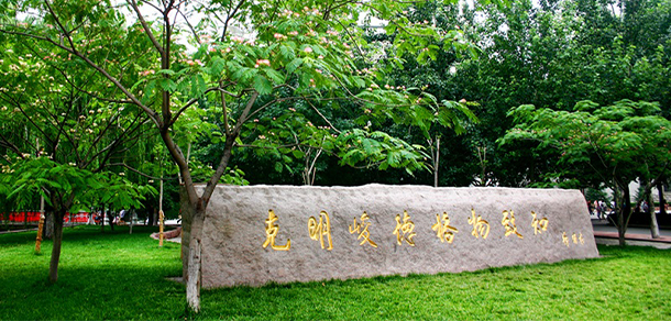 我的大學(xué)-大學(xué)志