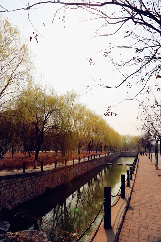 山東藝術學院-校園風景