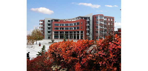 我的大學(xué)-大學(xué)志