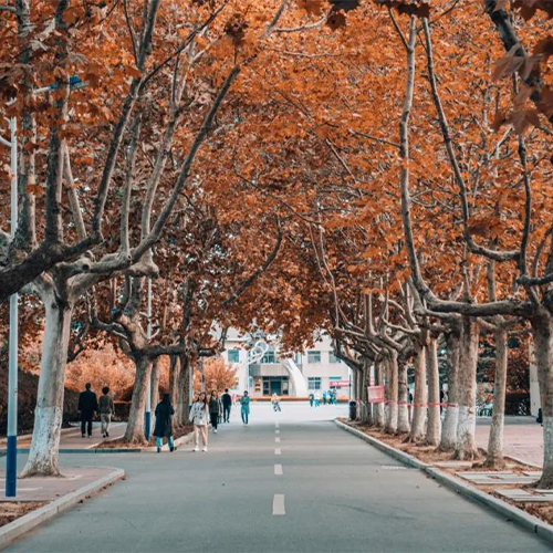 煙臺大學-流金歲月