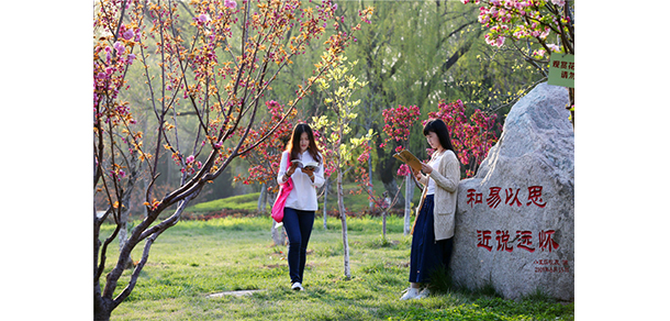 2021年招生分數(shù)