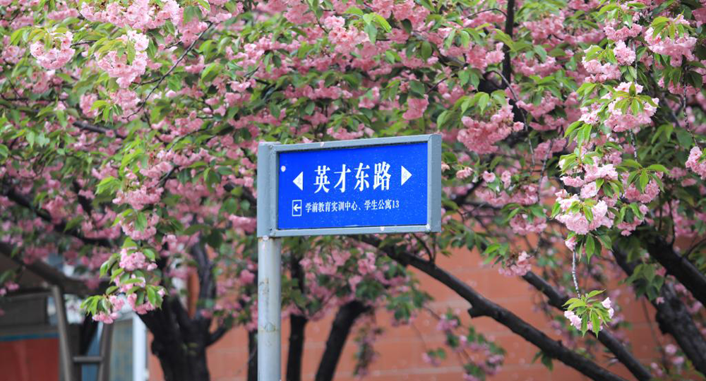 時(shí)光匆匆，歲月如歌！——珍惜自己最美好的時(shí)光，珍惜時(shí)下，放肆而不張揚(yáng)的青春年華。