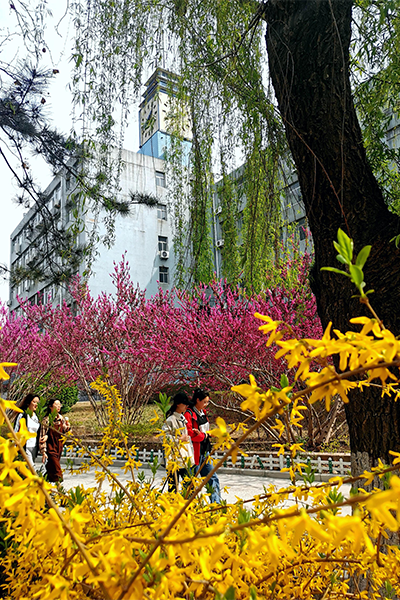 濟南大學(xué)-流金歲月