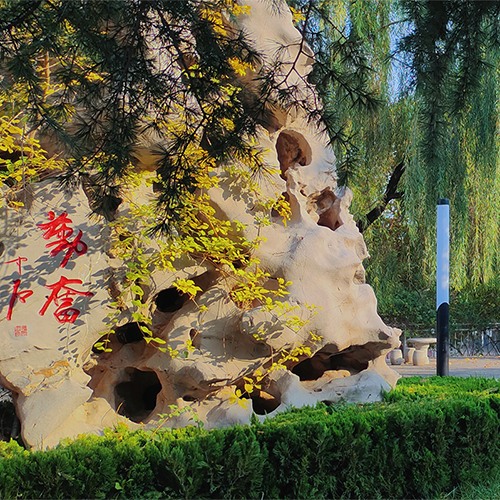 我的大學(xué)