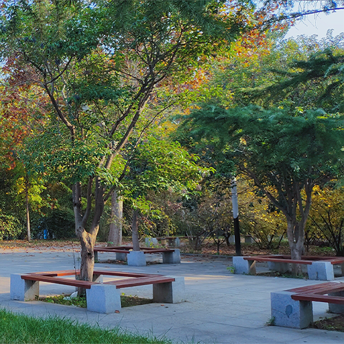 大學(xué)簡介