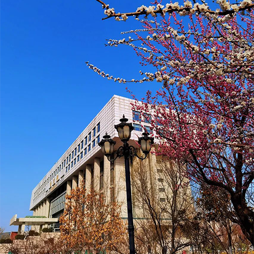 齊魯工業(yè)大學-早安青春