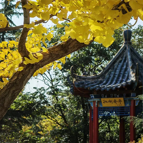 齊魯工業(yè)大學-流金歲月