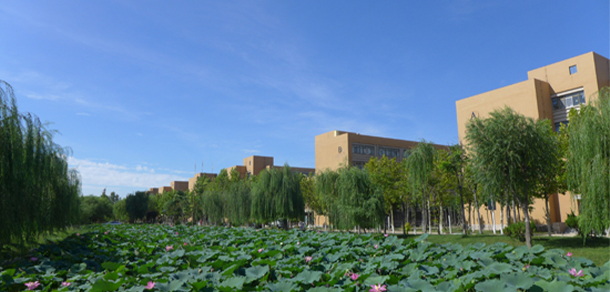 東營(yíng)職業(yè)學(xué)院 - 最美大學(xué)