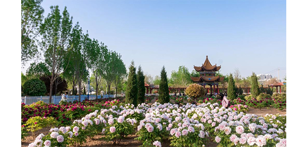 菏澤醫(yī)學(xué)?？茖W(xué)校 - 最美大學(xué)