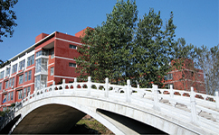 青島職業(yè)技術學院 - 我的大學