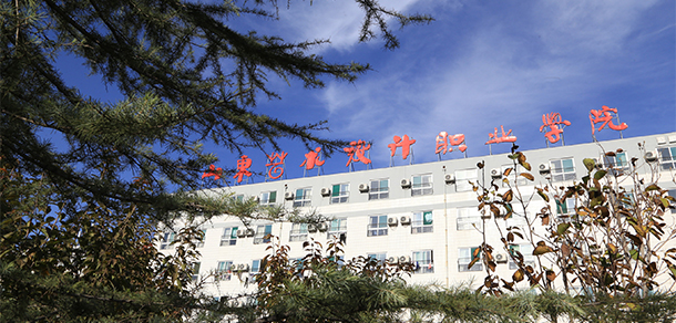 山東藝術(shù)設計職業(yè)學院 - 最美院校