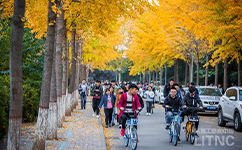 歷史沿革(概)校史