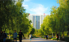 鄭州經貿學院
